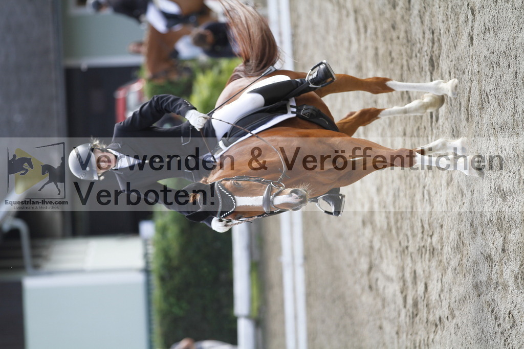 _MG_0772 | equestrian-live-com