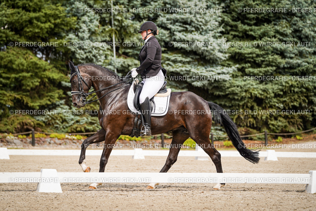 DSC05583 | Pferdegrafie