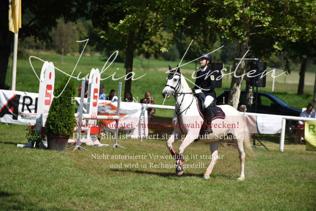 DSC_9484 | Pferde- und Turnierfotografie in Westsachsen. Pferdeportraits, Auftragszeichnungen und intuitive Kunst.