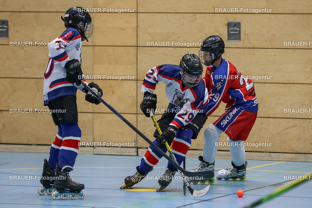 Bockumer Bulldogs Jugend - Monheim Skunks Jugend | 



05.11.1012 Bockumer Bulldogs Jugend - Monheim Skunks Jugend

(Foto von Michael Adler)

