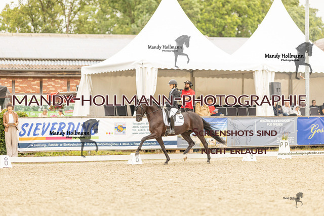 SW 4-424 | mandyhollmannphotographie