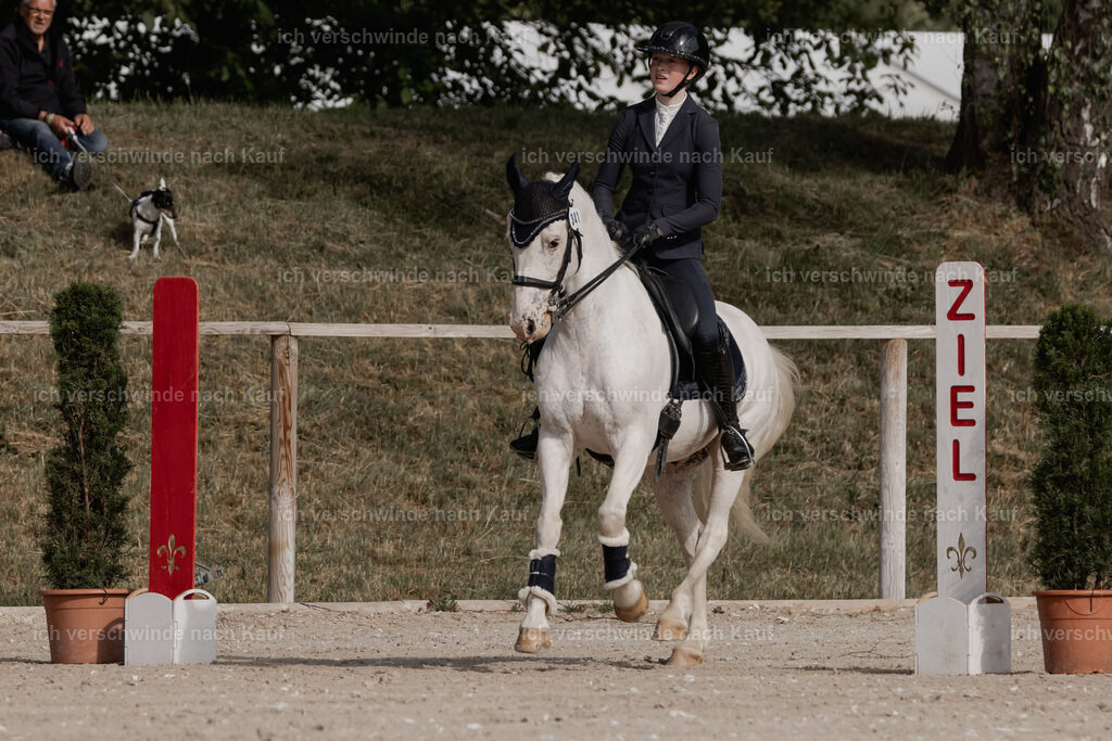 WE_ST_Stoib_341_PI2025_881 | Pferd International München 2025