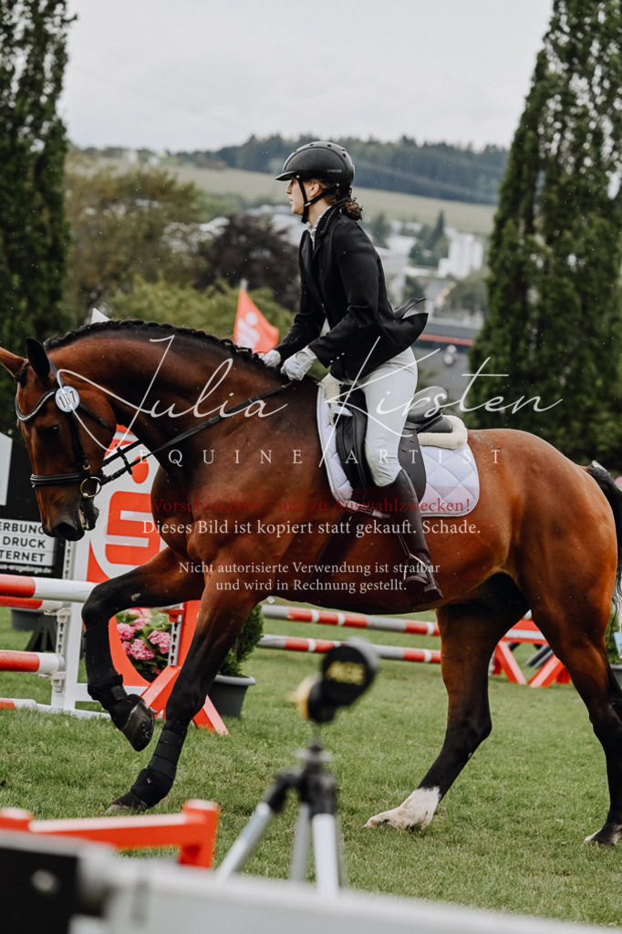 DSC_7036 | Pferde- und Turnierfotografie in Westsachsen. Pferdeportraits, Auftragszeichnungen und intuitive Kunst.
