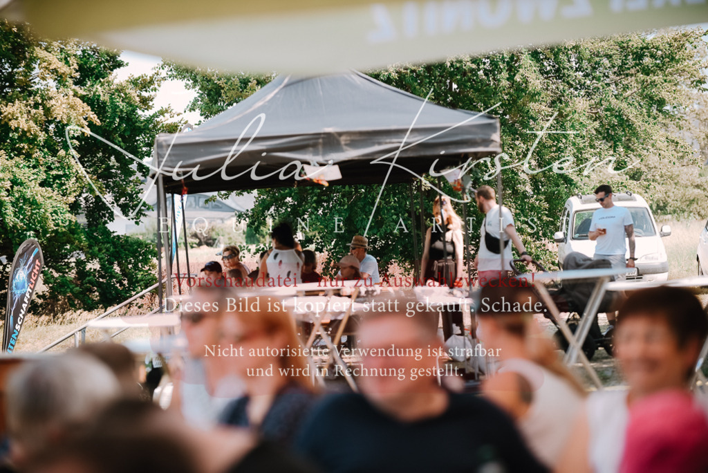 DSC_2971 | Pferde- und Turnierfotografie in Westsachsen. Pferdeportraits, Auftragszeichnungen und intuitive Kunst.