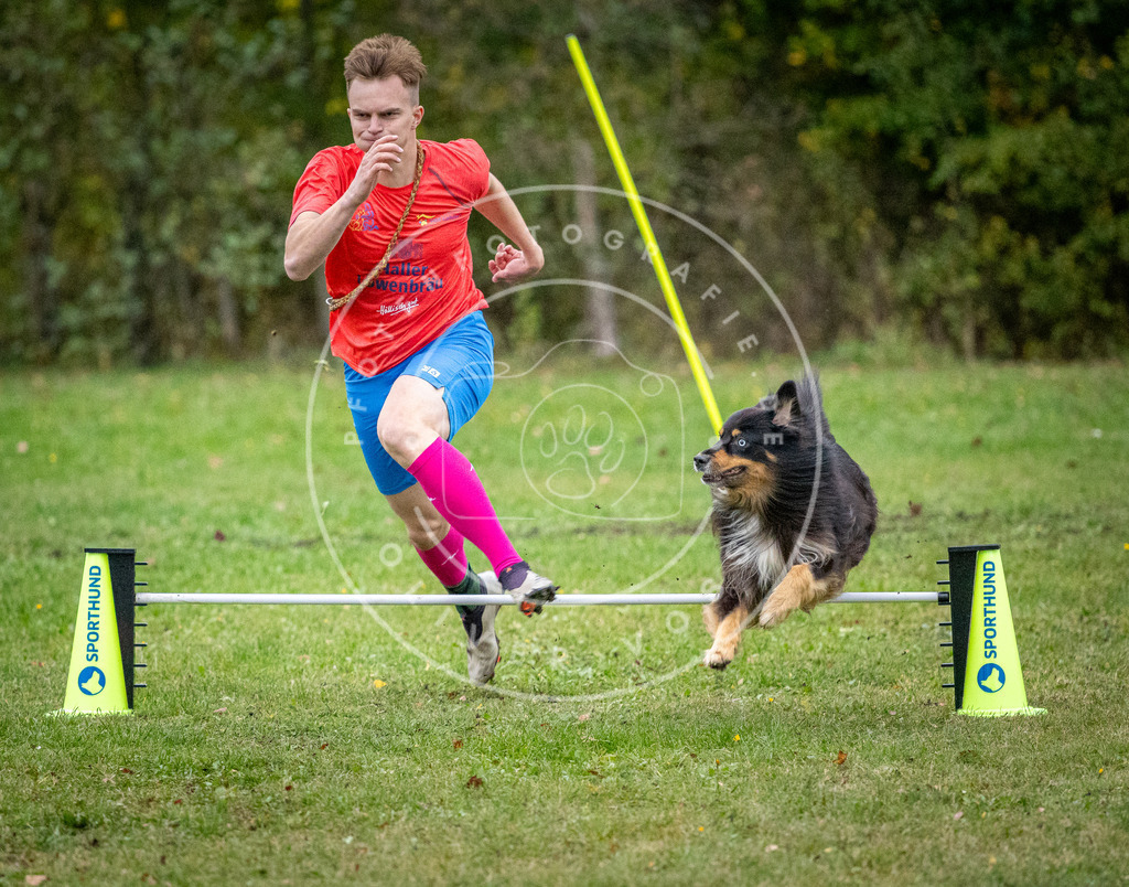 Pfotenfotografie_DV3A1568 | Hundefotografie, Tierfotograf, Pfotenfotografie, Fotoshooting Hund, Hunde Portrait, Hundesport, Hundeportraits, Heideshooting, Hunde, Sportfotograf, Hundefotograf, Turnierhundsport, THS,  - Realisiert mit Pictrs.com