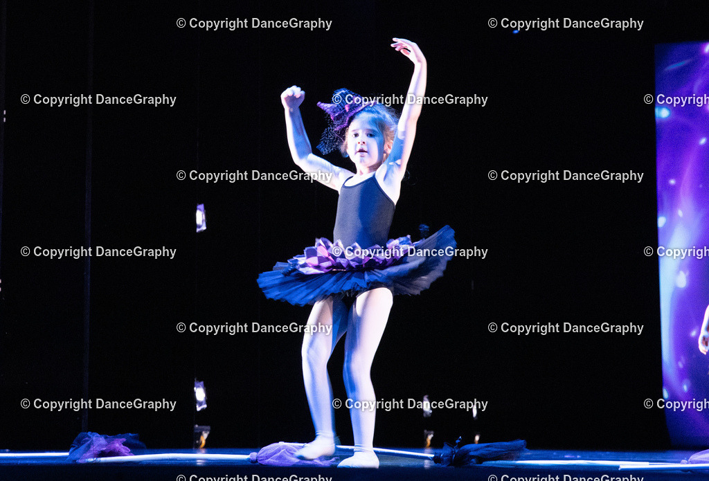 GPHY6277 | DanceGraphy - Realisiert mit Pictrs.com