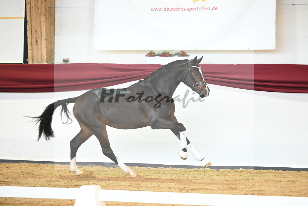 Kat-Nr. 31 v. Ferrantino_Lehner_66221835 | hf-fotografie - Realisiert mit Pictrs.com