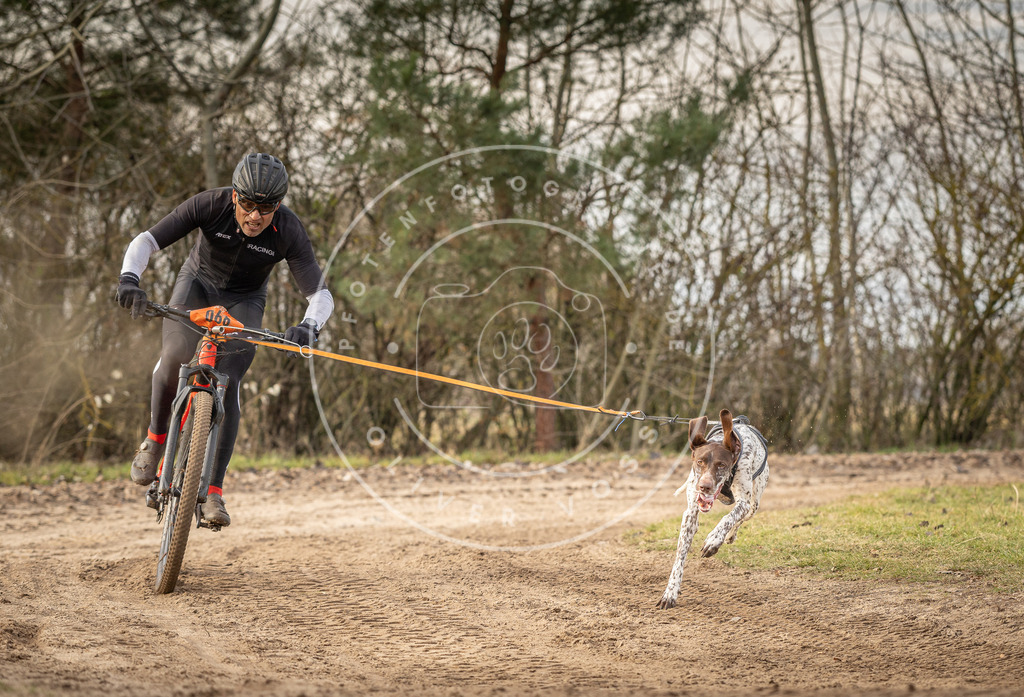 Pfotenfotografie_DV3A7105 | Hundefotografie, Tierfotograf, Pfotenfotografie, Fotoshooting Hund, Hunde Portrait, Hundesport, Hundeportraits, Heideshooting, Hunde, Sportfotograf, Hundefotograf, Turnierhundsport, THS,  - Realisiert mit Pictrs.com