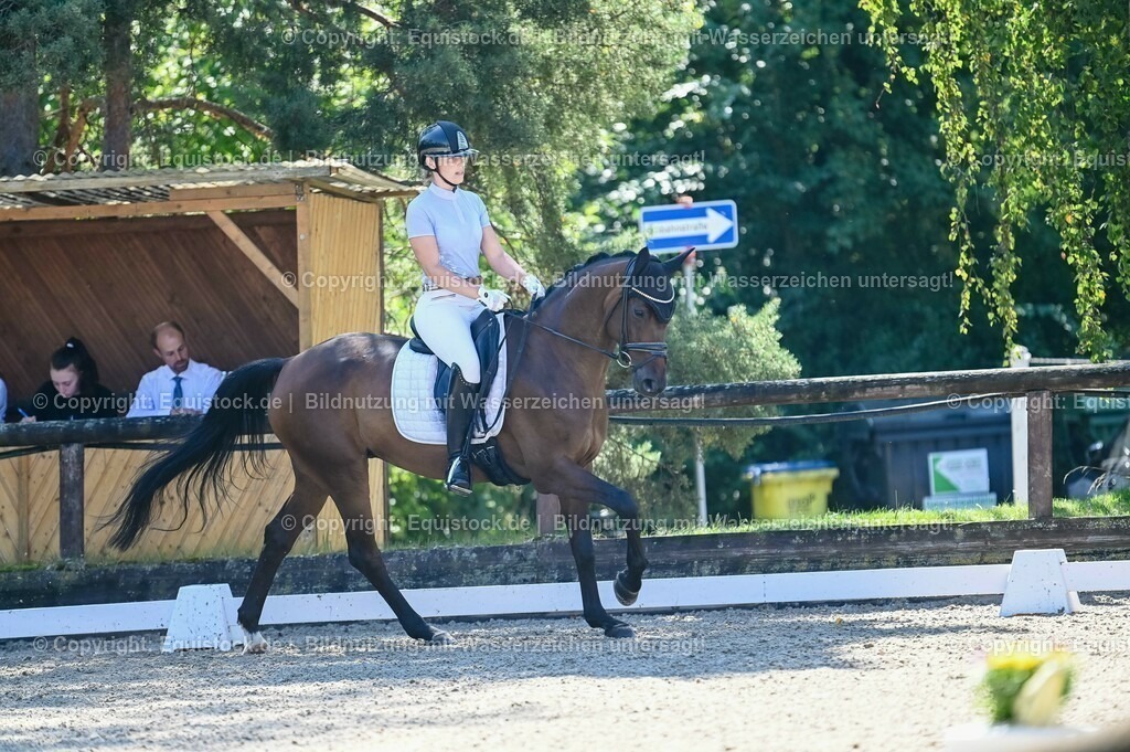 20230908_06_Dressur-L-Trense_0665 | equistock