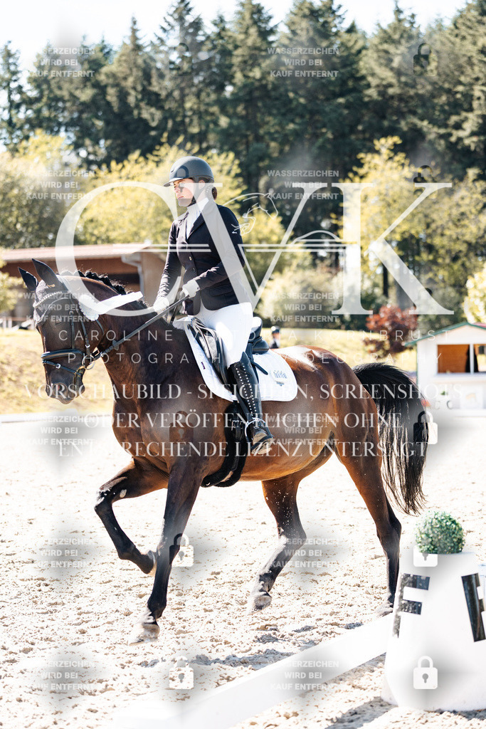 CK909980 | Turnierfotografie Pferdefotografie Trier Rheinland-Pfalz Pferdesport Reitsport Tierfotografie Sportfotografie Pferdevideo Pferdevideografie Equestrianvideography equestrianphotography  - Realisiert mit Pictrs.com