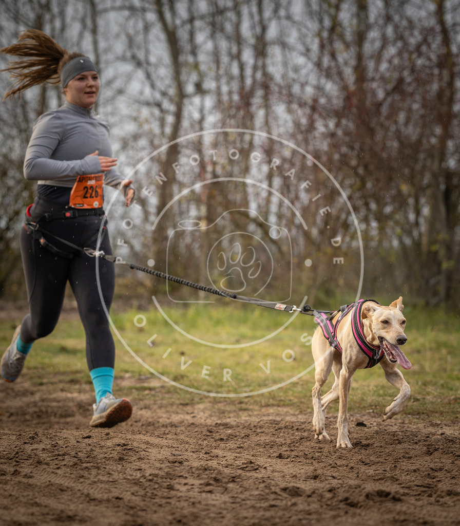Pfotenfotografie_DV3A1288 | Hundefotografie, Tierfotograf, Pfotenfotografie, Fotoshooting Hund, Hunde Portrait, Hundesport, Hundeportraits, Heideshooting, Hunde, Sportfotograf, Hundefotograf, Turnierhundsport, THS,  - Realisiert mit Pictrs.com
