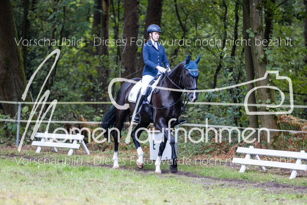 HB-Dressur-WB-099 | MomenTaufnahmen Pferdesportfotos