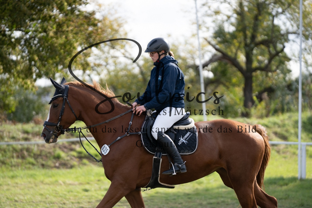 A7V06642 | Pferdefotograf