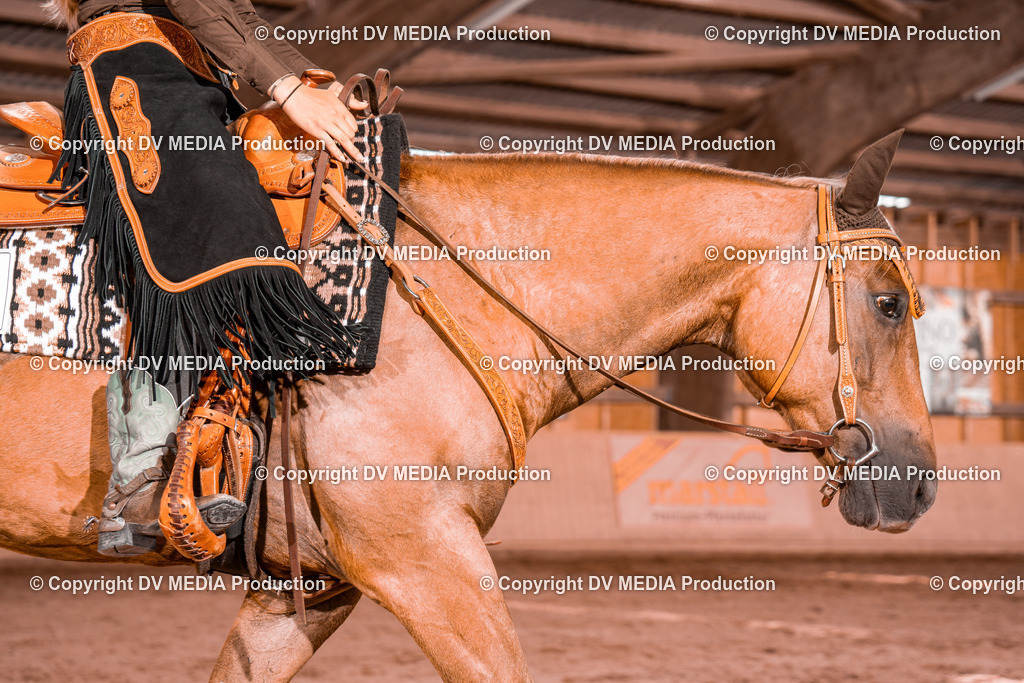 NE200549 | dv-media-shop - Realisiert mit Pictrs.com