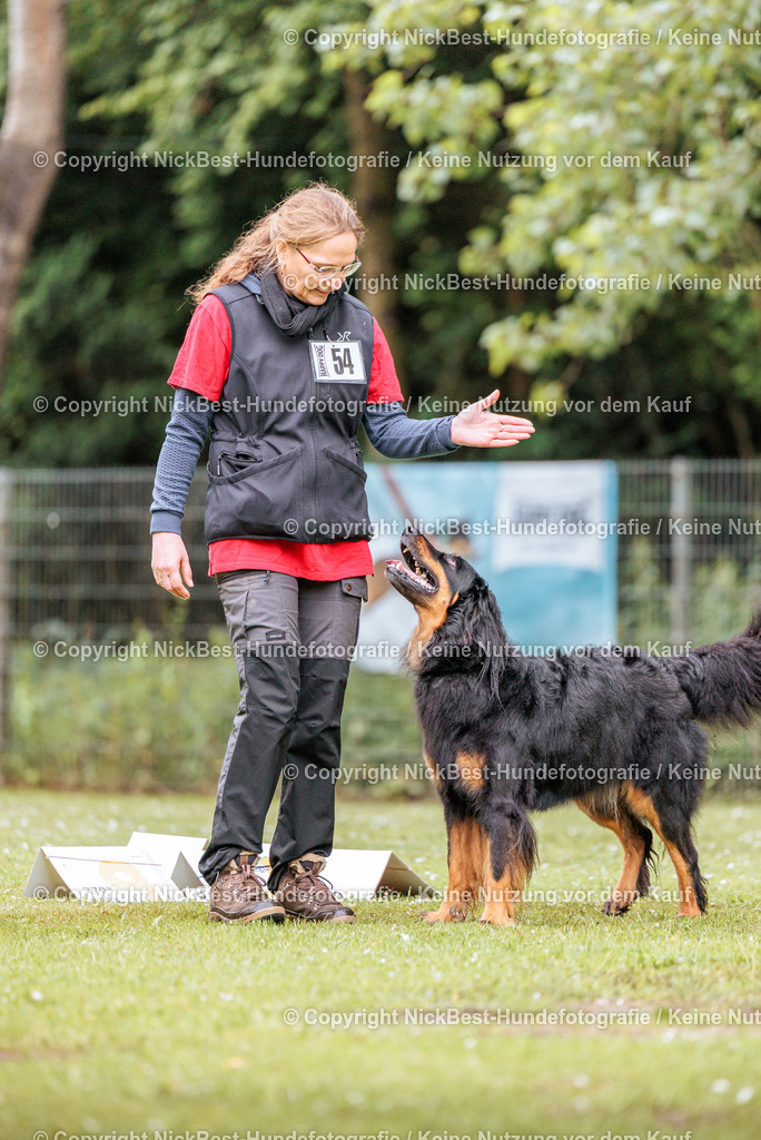 RO-Blumenthal-2026-Nickbest-Hundefotografie-0980 | Dein Hund! Dein Moment! Deine Erinnerungen! Hundefotografie in Bremen Blumenthal. Ich fange die besonderen Momente deines Vierbeiners ein – ob Indoor mit Blitzanlage oder in der freien Natur. Sicher dir dein Moment und dein Termin für eure Erinnerungen.