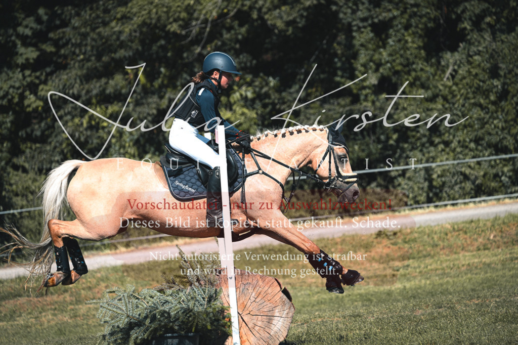 DSC_7930 | Pferde- und Turnierfotografie in Westsachsen. Pferdeportraits, Auftragszeichnungen und intuitive Kunst.
