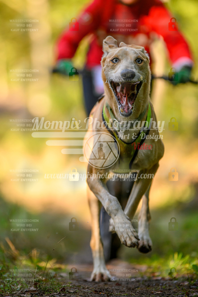 MompixPhotography_Yens2025_B3-137 | PayLife