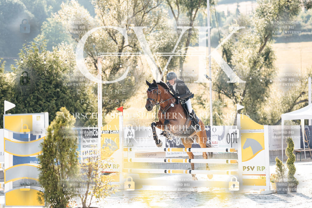 CK907458 | Turnierfotografie Pferdefotografie Trier Rheinland-Pfalz Pferdesport Reitsport Tierfotografie Sportfotografie Pferdevideo Pferdevideografie Equestrianvideography equestrianphotography  - Realisiert mit Pictrs.com