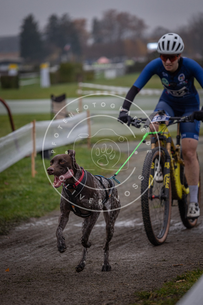 CaniXpix_0L8A1636 | Hundefotografie, Tierfotograf, Pfotenfotografie, Fotoshooting Hund, Hunde Portrait, Hundesport, Hundeportraits, Heideshooting, Hunde, Sportfotograf, Hundefotograf, Turnierhundsport, THS,  - Realisiert mit Pictrs.com