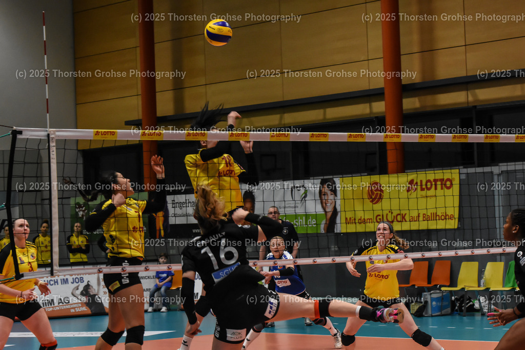 VBL VFB Suhl vs. SCHWARZ-WEISS Erfurt | (VFB Suhl) in Gelb, (Schwarz-Weiss Erfurt) in Schwarz; VBL VFB Suhl vs. SCHWARZ-WEISS Erfurt, Volleyball-Bundesliga Frauen am 17.02.2018 in der Multihalle in Meiningen, (Deutschland) - Realisiert mit Pictrs.com