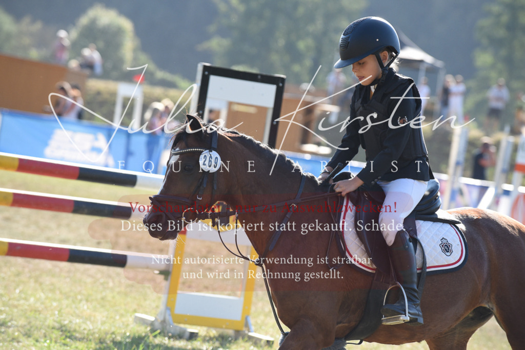 DSC_5761 | Pferde- und Turnierfotografie in Westsachsen. Pferdeportraits, Auftragszeichnungen und intuitive Kunst.