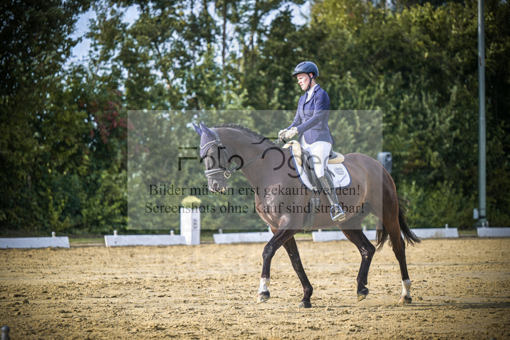 DOS_0466 | Entdecke hochwertige Reitturnierfotos von Foto Oger. Professionell, emotional und authentisch – jetzt Lieblingsmomente im Shop bestellen.Deutschlandweite Turnierfotografie. - Realisiert mit Pictrs.com