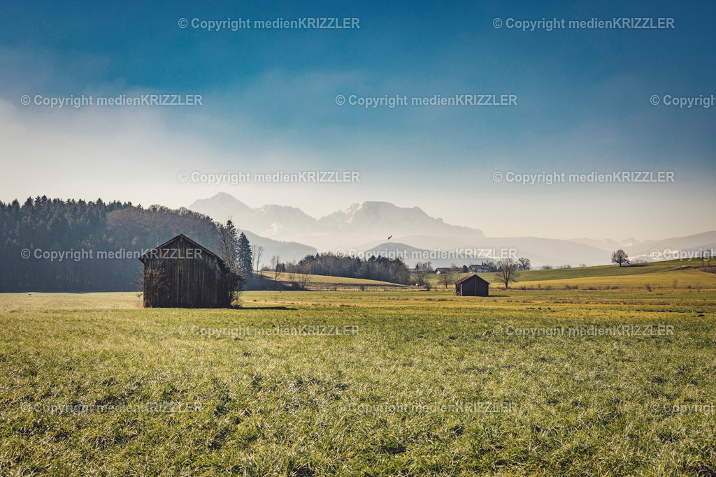 _J3A0146 | medienkrizzler - Realisiert mit Pictrs.com