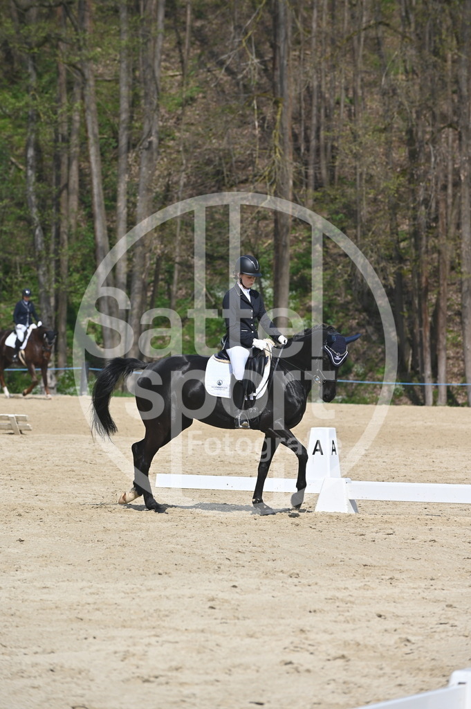 DSC_1077 | sattelsport - Realisiert mit Pictrs.com