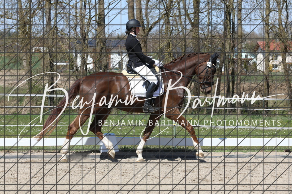 AZ2A4297 | Benjamin Bartmann Photomoments