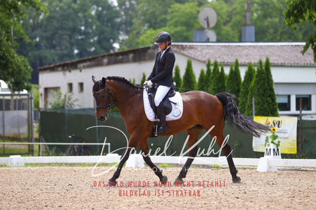 DKP42101 | Turniersportfotografie; Pferdefotografie; Dressurfotografie