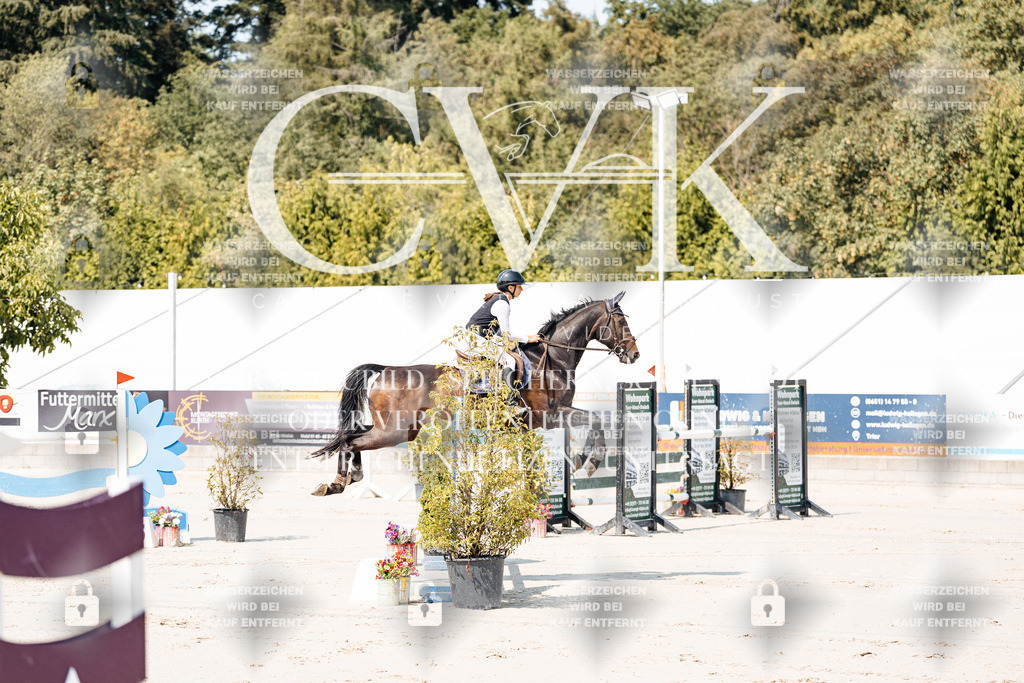 CK901162 | Turnierfotografie Pferdefotografie Trier Rheinland-Pfalz Pferdesport Reitsport Tierfotografie Sportfotografie Pferdevideo Pferdevideografie Equestrianvideography equestrianphotography  - Realisiert mit Pictrs.com