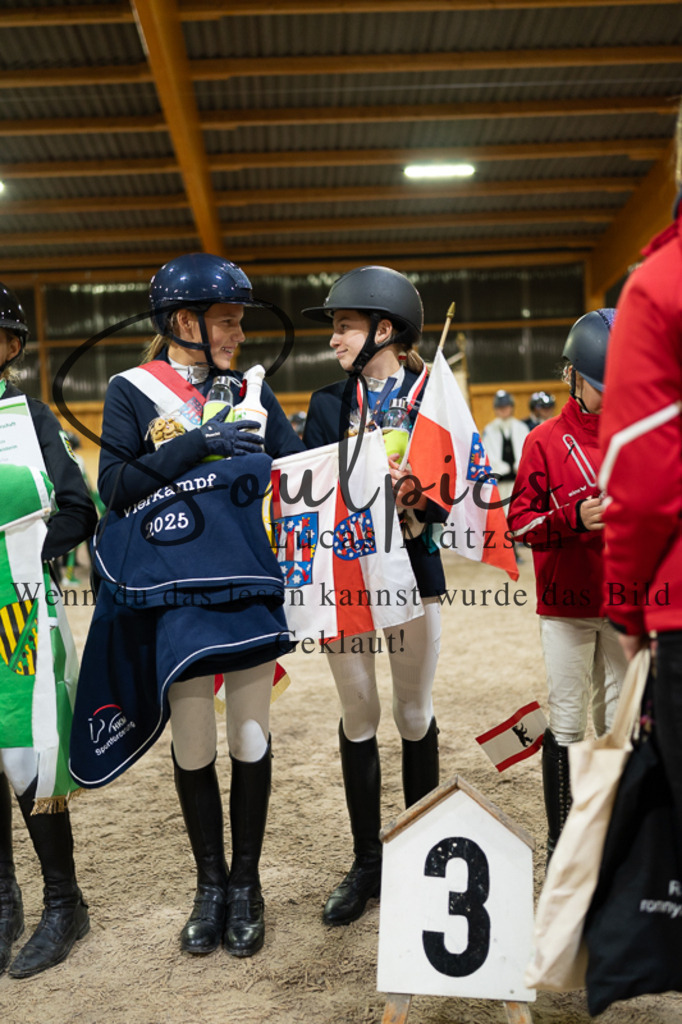 A7V03548 | Pferdefotograf