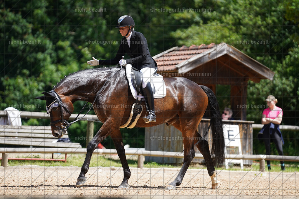 20240705-FAH03448 | Turnierbilder von Grafing, Reitsportbilder, Turnierfotos, Turnierfotografen Bayern, Pferdefotograf, Fotoagentur Herrmann