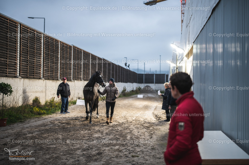 WEB_20241114_Vetcheck_TOMsPiC_0013 | Foto: Thomas Hartig
