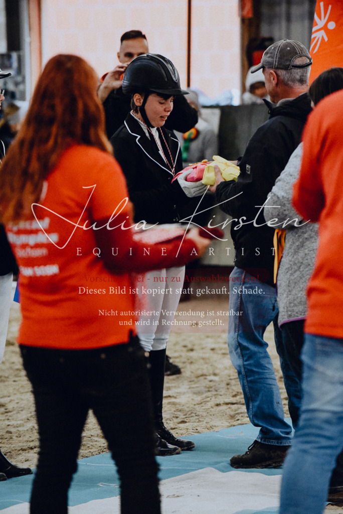 DSC_7025 | Pferde- und Turnierfotografie in Westsachsen. Pferdeportraits, Auftragszeichnungen und intuitive Kunst.