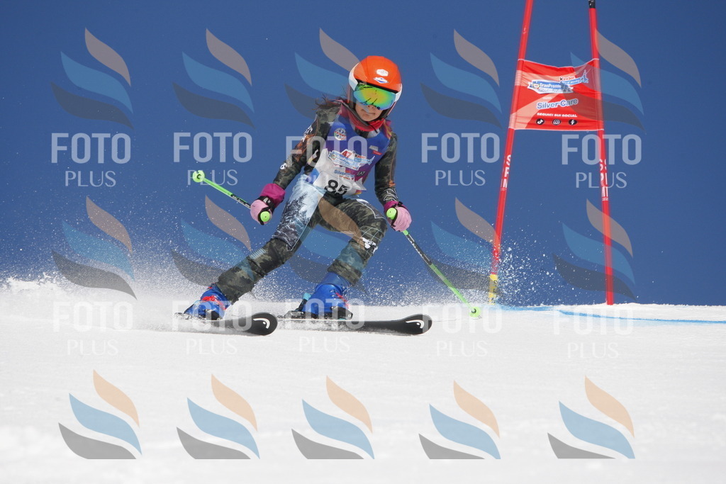 _W1G1241 | holidayphoto