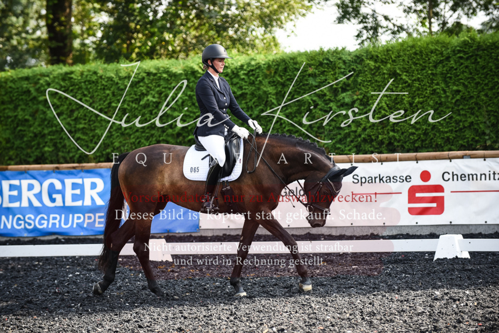DSC_3116 | Pferde- und Turnierfotografie in Westsachsen. Pferdeportraits, Auftragszeichnungen und intuitive Kunst.