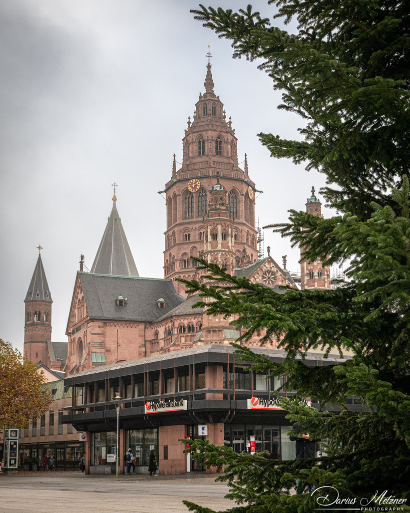 DSC_4247 2 | Fotografien, Fotos und Bilder aus Mainz, Frankfurt, Wiesbaden und anderen Orten auf der Welt - Fotografiert von Darius Metzner