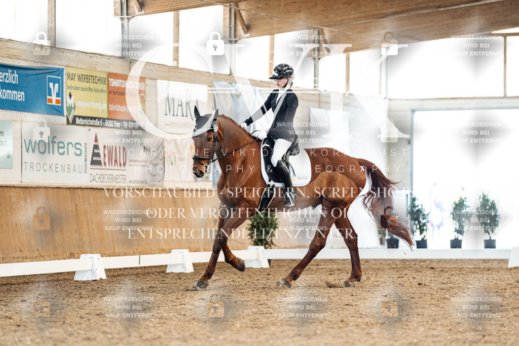 CK908690 | Turnierfotografie Pferdefotografie Trier Rheinland-Pfalz Pferdesport Reitsport Tierfotografie Sportfotografie Pferdevideo Pferdevideografie Equestrianvideography equestrianphotography  - Realisiert mit Pictrs.com