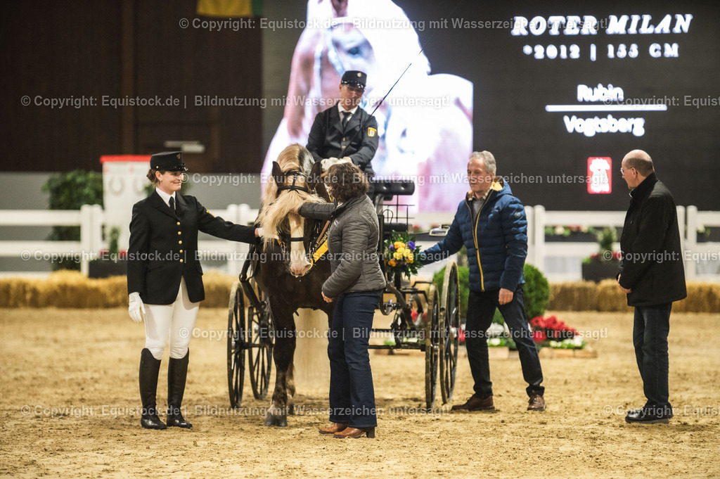 20240302_Hengstvorstellung_Marbach_TOMsPiC_0662 | equistock