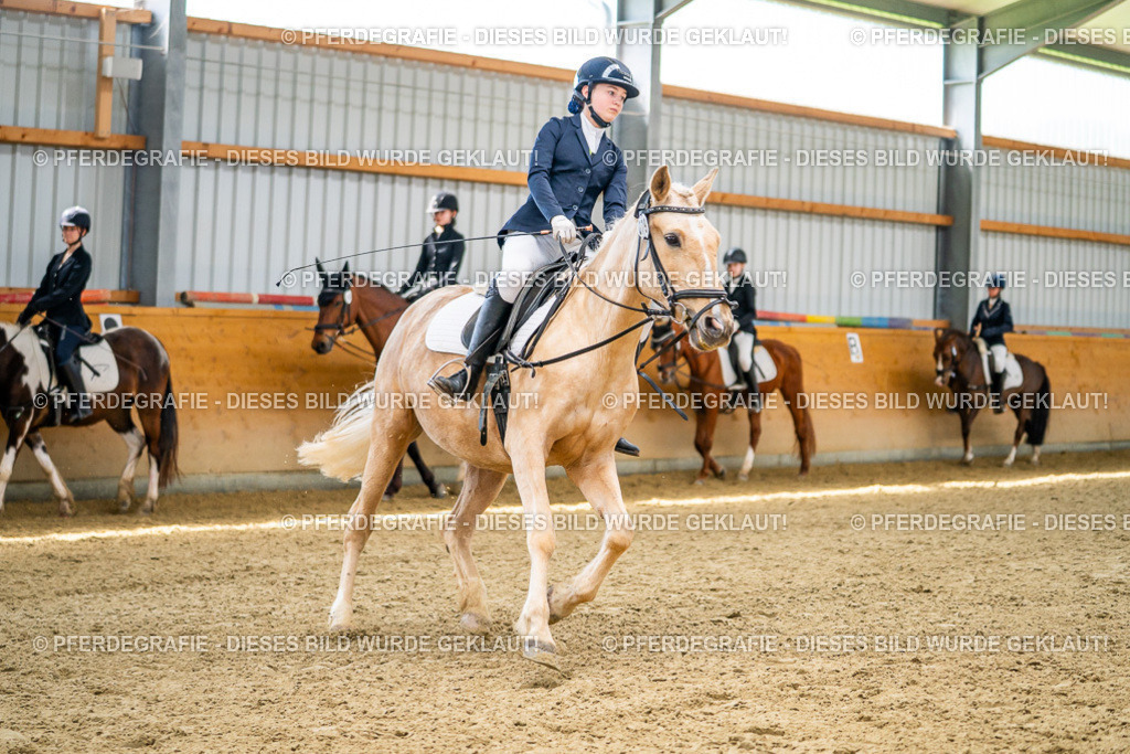 DSC03763 | Pferdegrafie