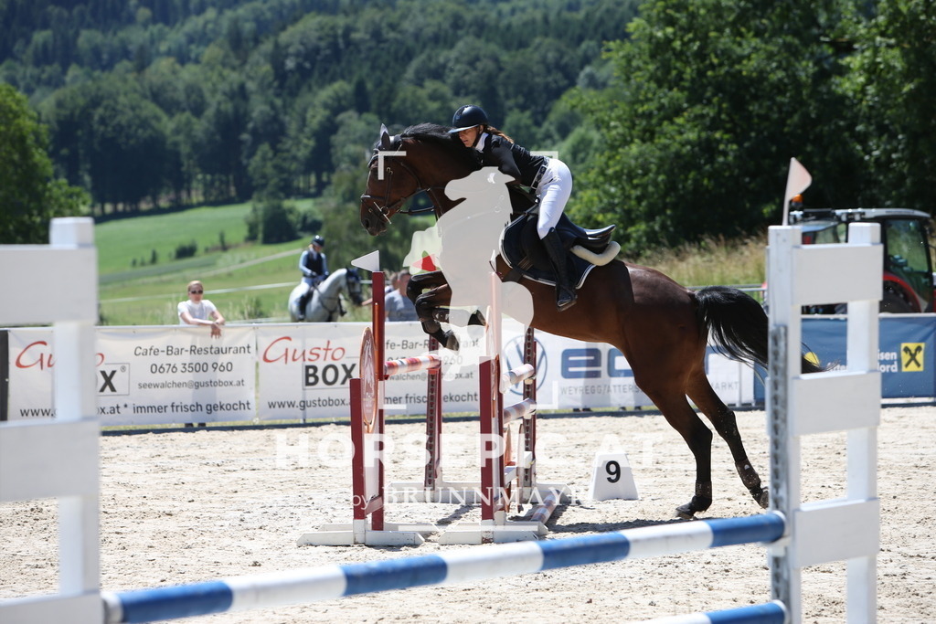 PP014154 | Willkommen bei Brunnmayr - Design & Fotografie – Ihrem Spezialisten für Reitturniere und Pferdeveranstaltungen in Oberösterreich, Salzburg und Bayern! Seit über 17 Jahren sind wir leidenschaftlich dabei.