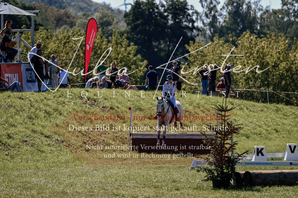 DSC_2038 | Pferde- und Turnierfotografie in Westsachsen. Pferdeportraits, Auftragszeichnungen und intuitive Kunst.