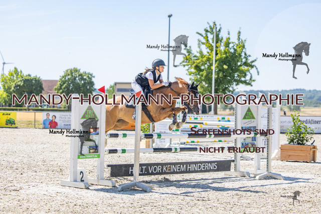 26-7-25 Pony L-64 | mandyhollmannphotographie