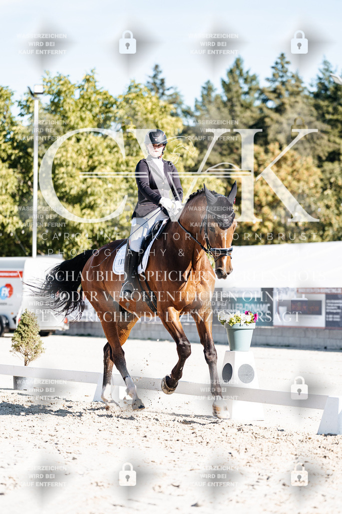 CK907732 | Turnierfotografie Pferdefotografie Trier Rheinland-Pfalz Pferdesport Reitsport Tierfotografie Sportfotografie Pferdevideo Pferdevideografie Equestrianvideography equestrianphotography  - Realisiert mit Pictrs.com