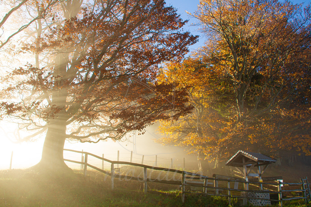 Der Mostbrunnen am Franzenreith | Bei Veröffentlichung des Bildes ist eine Namensnennung wie folgt erforderlich: 
Foto: Mostdirn Irmgard Wieser
 - Realisiert mit Pictrs.com