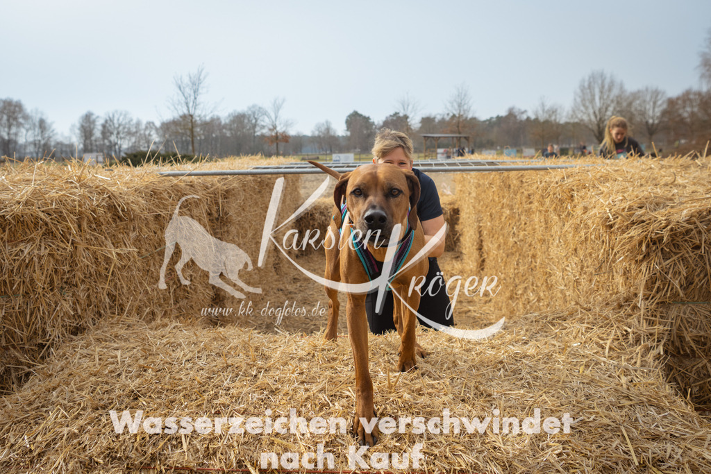 1118_ZZ92764 | kk-dogfotos