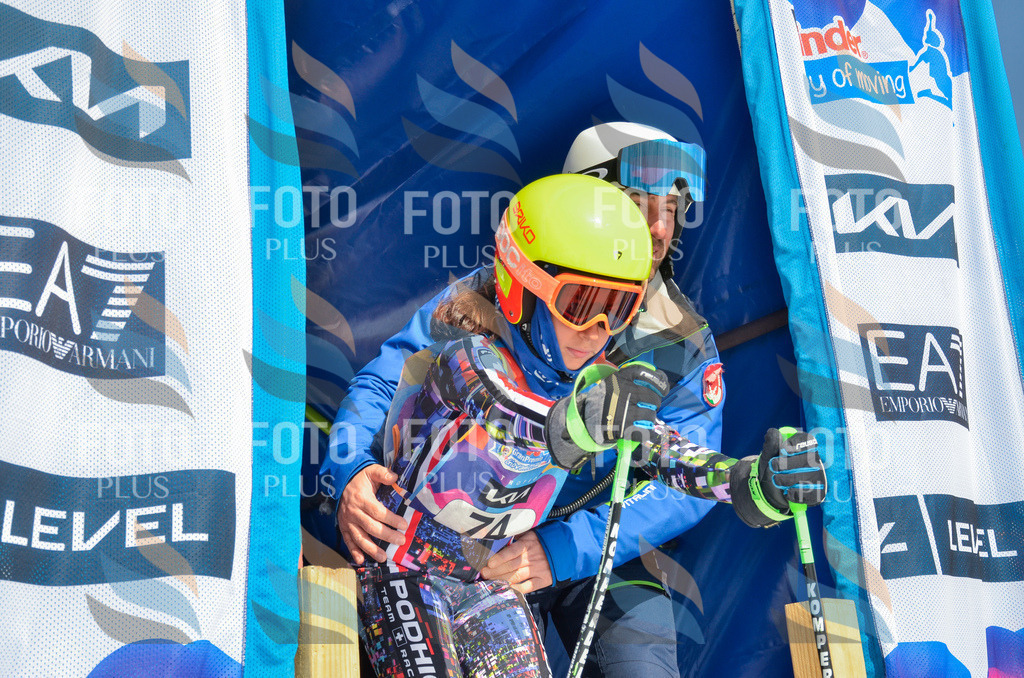 _ELE5468 | holidayphoto