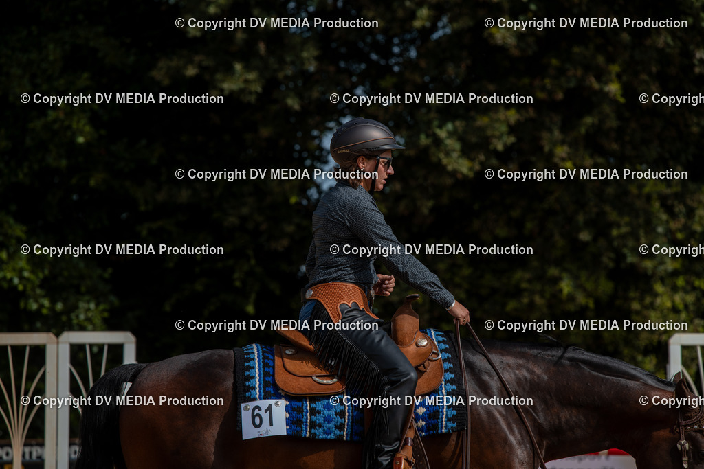 EWP_5890 | dv-media-shop - Realisiert mit Pictrs.com