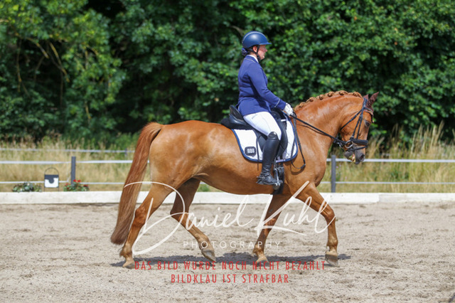 DKP46676 | Turniersportfotografie; Pferdefotografie; Dressurfotografie